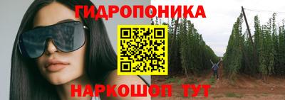 крисы Рязань