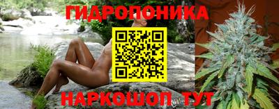 крисы Рязань