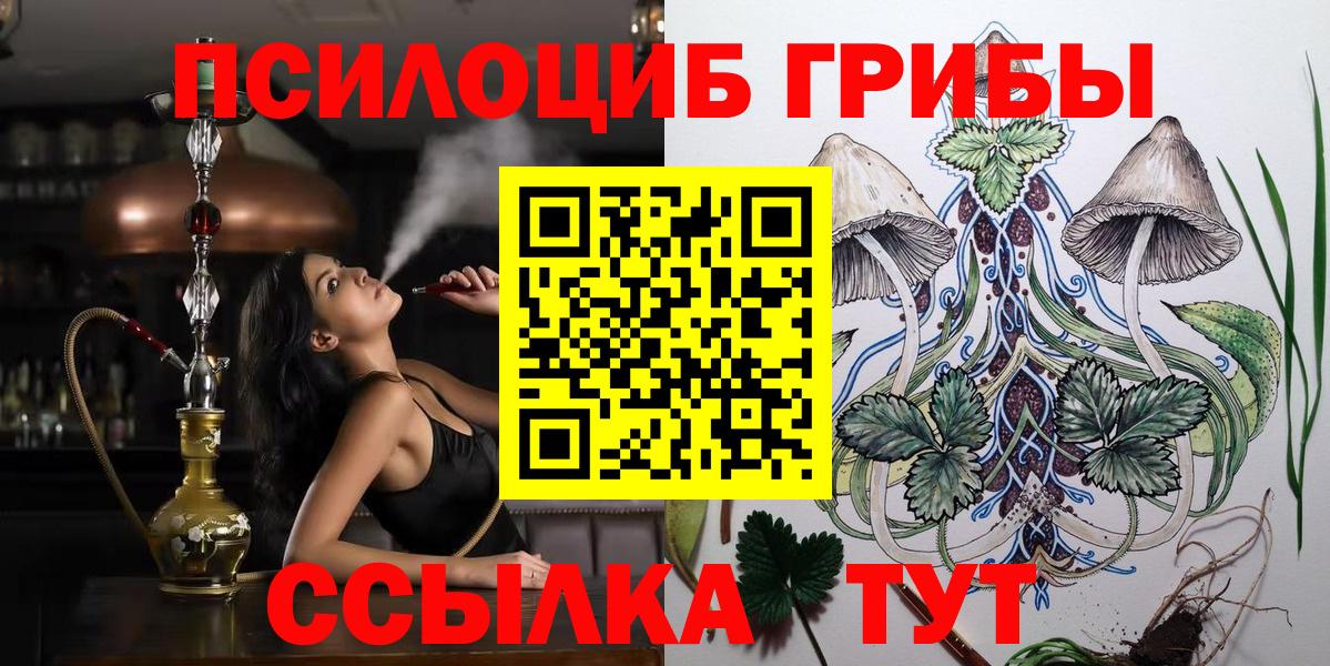 Псилоцибиновые грибы Cubensis Родники